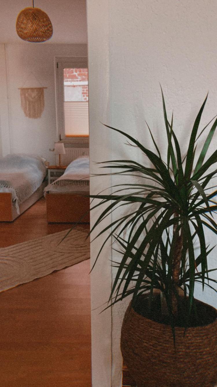 Ferienwohnung Nr. 1 Terrasse Bodden Kanu Bootssteg Zudar Ngoại thất bức ảnh